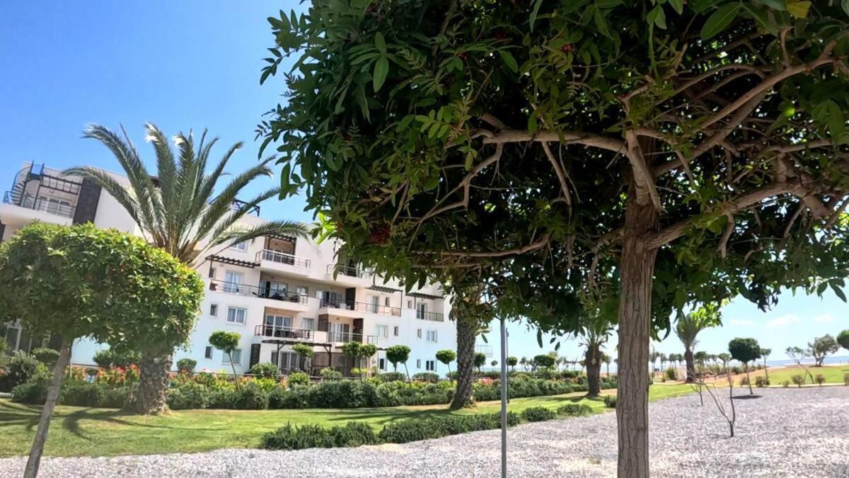 Great Seaview Appartments In Thalassa Vokolidha Esterno foto