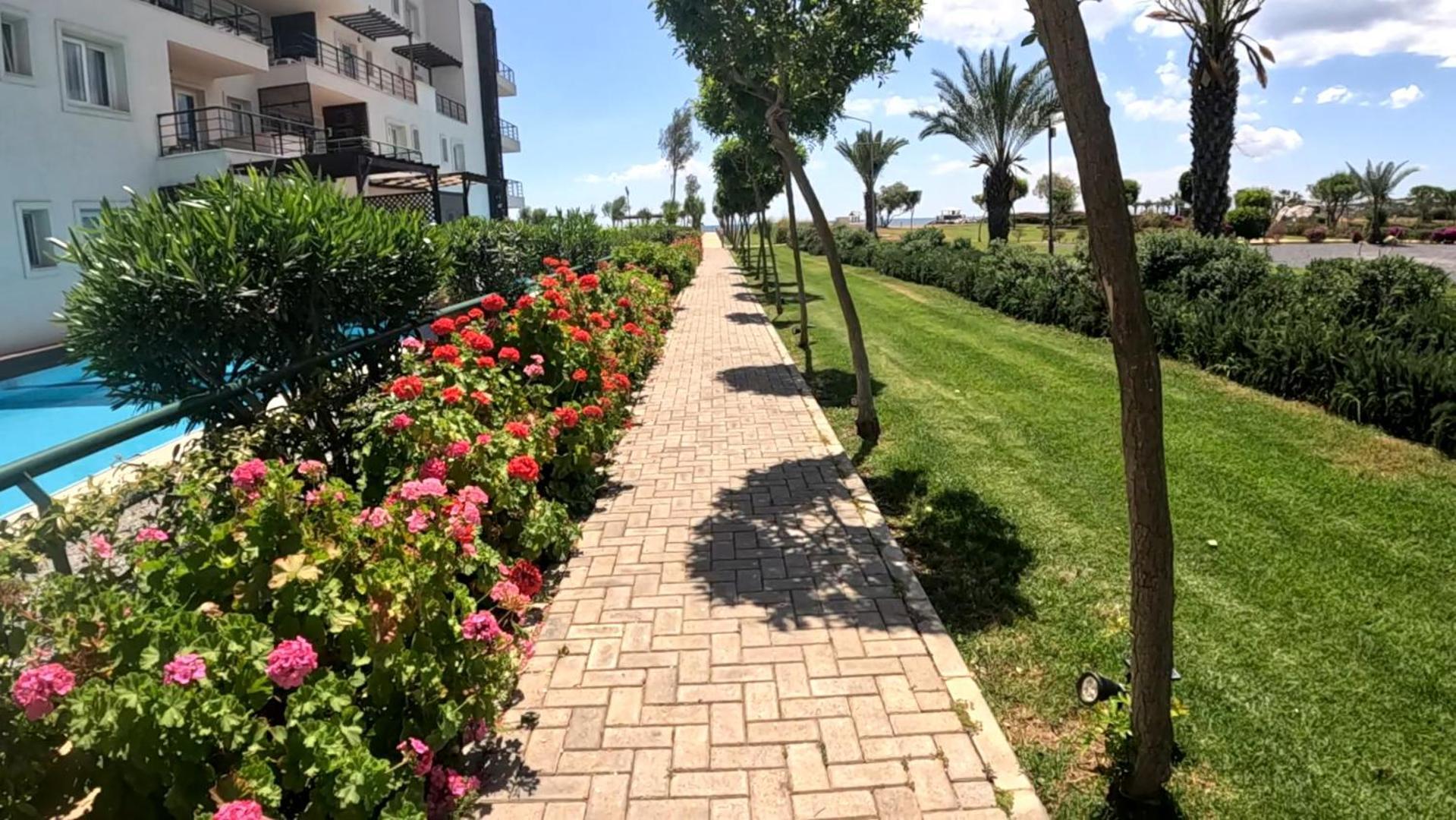 Great Seaview Appartments In Thalassa Vokolidha Esterno foto